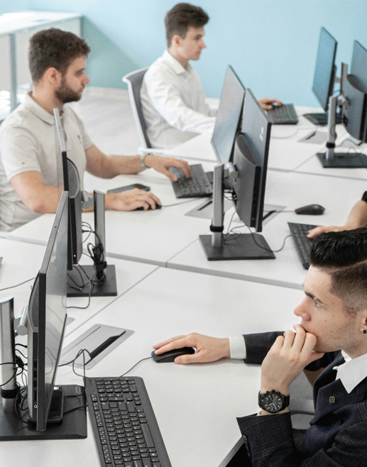 IT & Consulting service